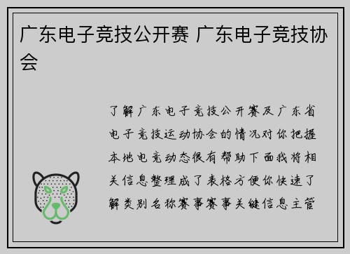 广东电子竞技公开赛 广东电子竞技协会